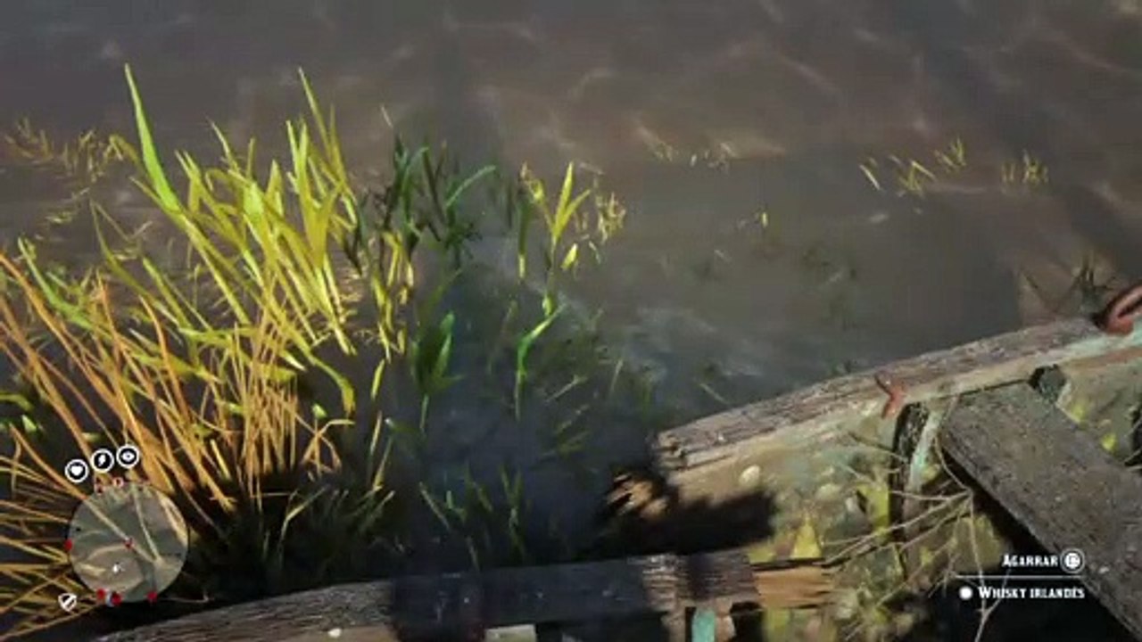 Red Dead Redemption 2 Online Localización de Objetos Colección de Whisky