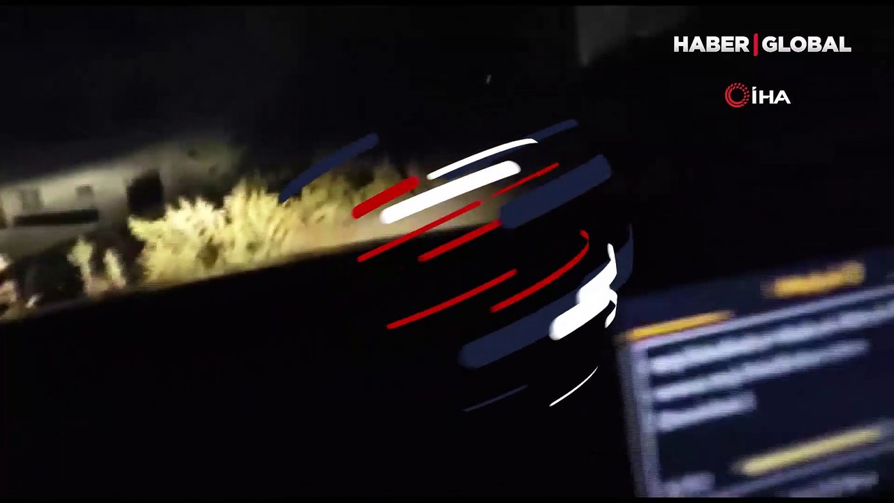 Kuşadası'nda şehir merkezine inen domuzlar için sürek avı izni verildi