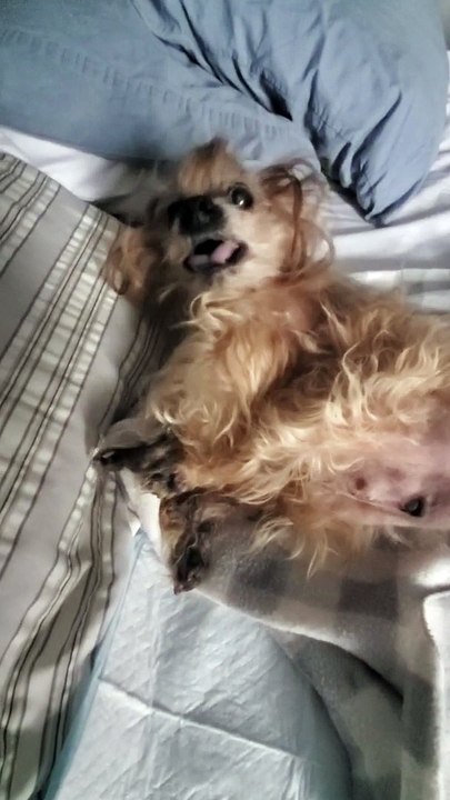 Eddie Hates Mornings