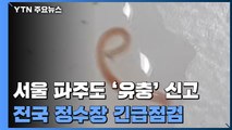 서울·파주에서도 '수돗물 유충' 신고 잇따라...전국 정수장 긴급점검 / YTN