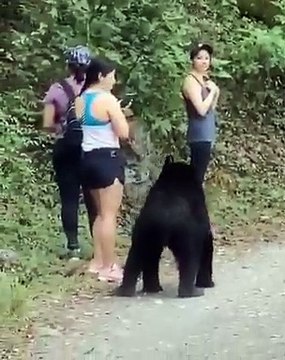 L’ours les a approché de très près, heureusement qu’elles ont pu garder leur calme malgré leur peur