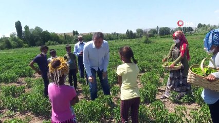 Bakan Selçuk’tan tarladaki çocuklara sürpriz ziyaret