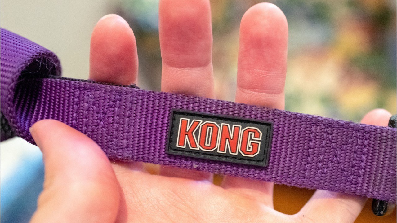 The Kong Wobbler Stimulates My Dog's Brain While He Eats