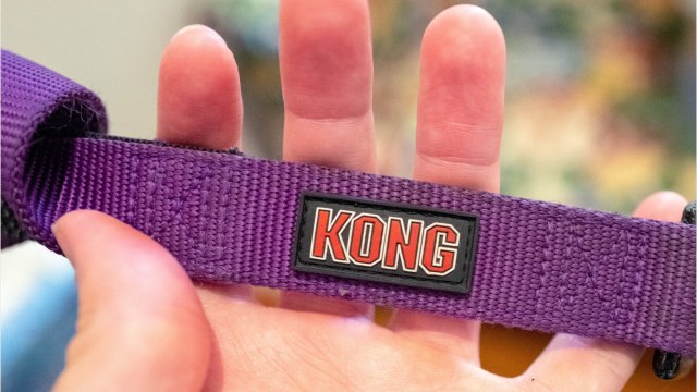 The Kong Wobbler Stimulates My Dog's Brain While He Eats