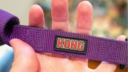 The Kong Wobbler Stimulates My Dog's Brain While He Eats