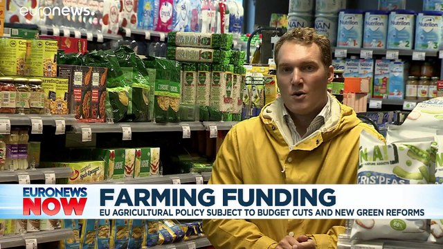 Common Agricultural Policy: What is it? How does it work? How might it be about to change?