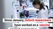 Excelentes avances de la vacuna de Oxford contra el coronavirus