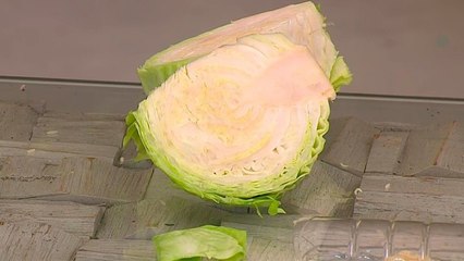 bd-evitar-zompopas-sin-usar-quimicos-200720