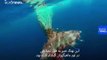 نجات نهنگ عنبر گرفتار شده در تور ماهیگیران در سواحل ایتالیا