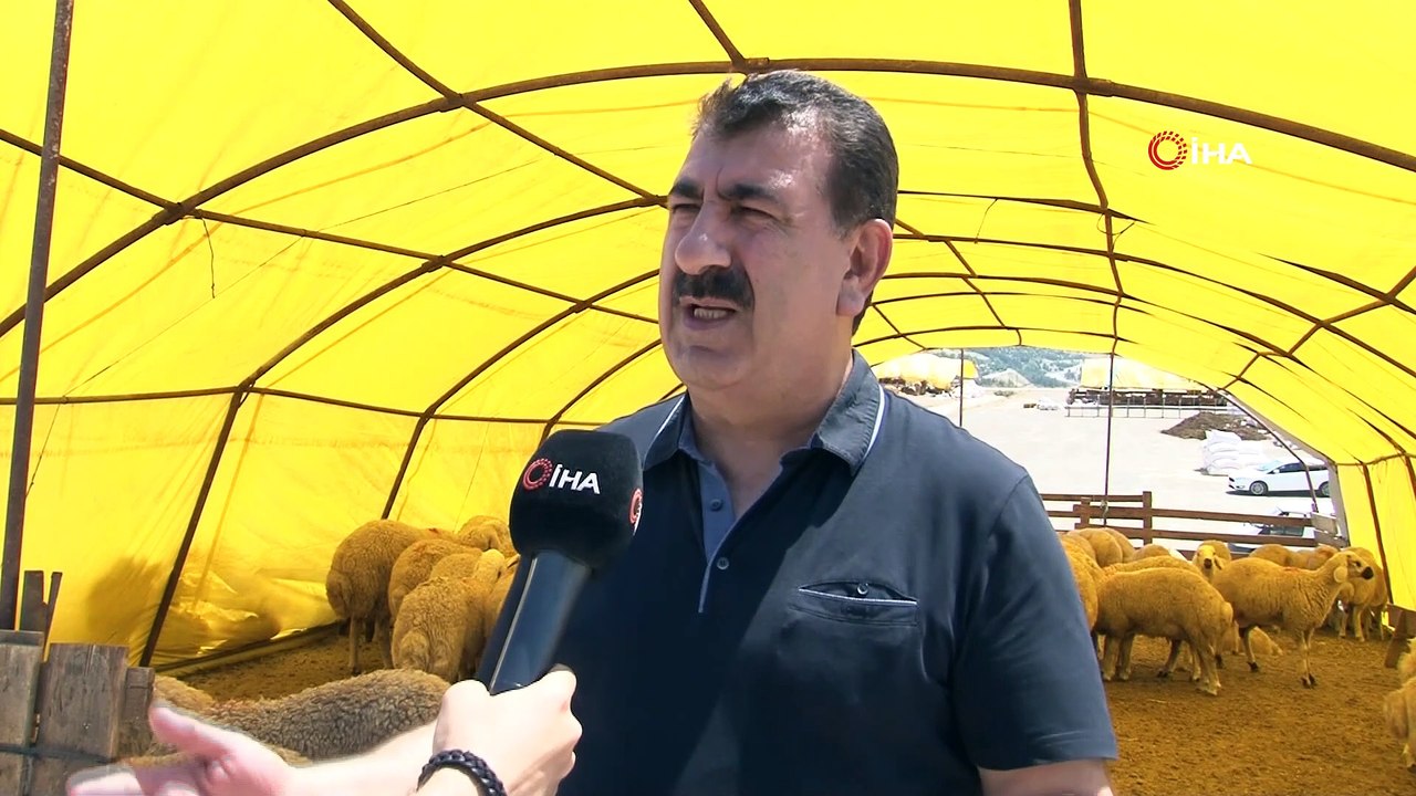 TÜDKİYEB Genel Başkanı Çelik: “Eğer karkas olarak 16 kilo et veren bir koç varsa getirsinler biz de görelim”