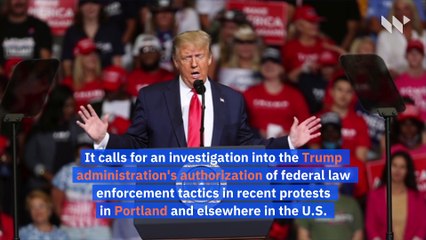 House Dems Call for Investigation Into Trump's Use of Force During Portland Protests