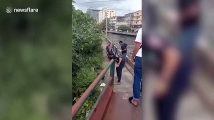 Kitten rescued after falling into filthy canal in Thailand