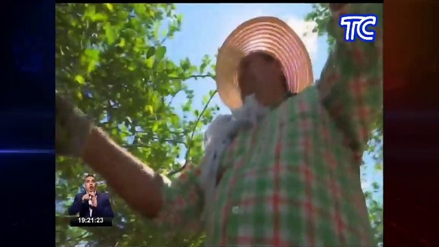 Conozca sobre las herramientas económicas presentadas por el Gobierno