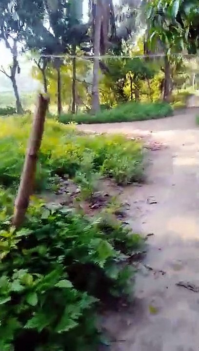 The hard work of breaking the bones of the people of the village He is a figure of hard work. And some views of the village munder.