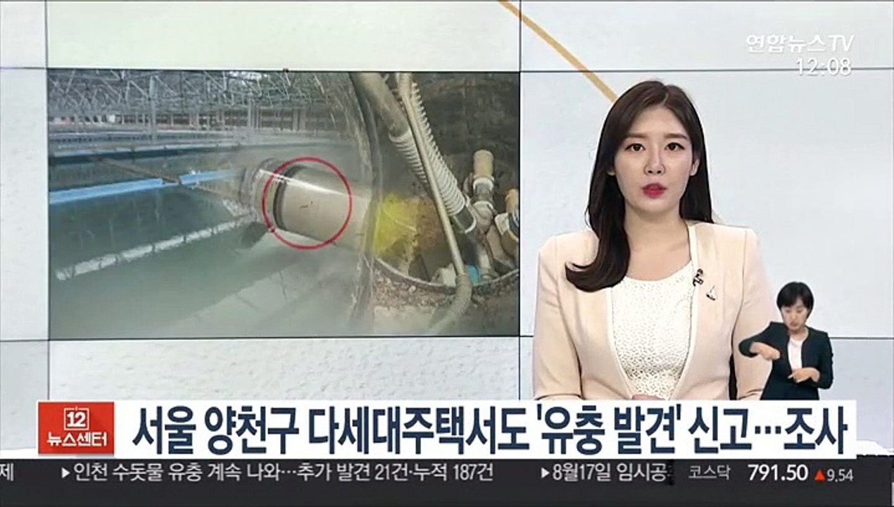서울 양천구 다세대주택서도 '유충 발견' 신고…조사