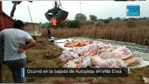 Un camión volcó 17 tonedadas de carne en Villa Elisa: tuvieron que decomisarla