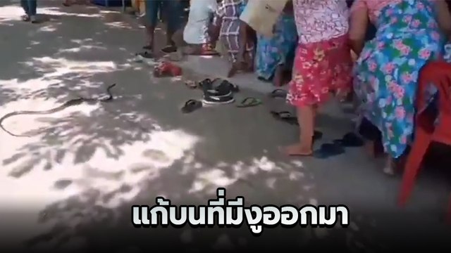 ชาวบ้านแก้บนศาลดังปราจีน ให้ 3 ตัวตรงถูกทั้งอำเภอ จู่ ๆ มีงูเลื้อยออกมา เชื่อเป็นปาฏิหาริย์