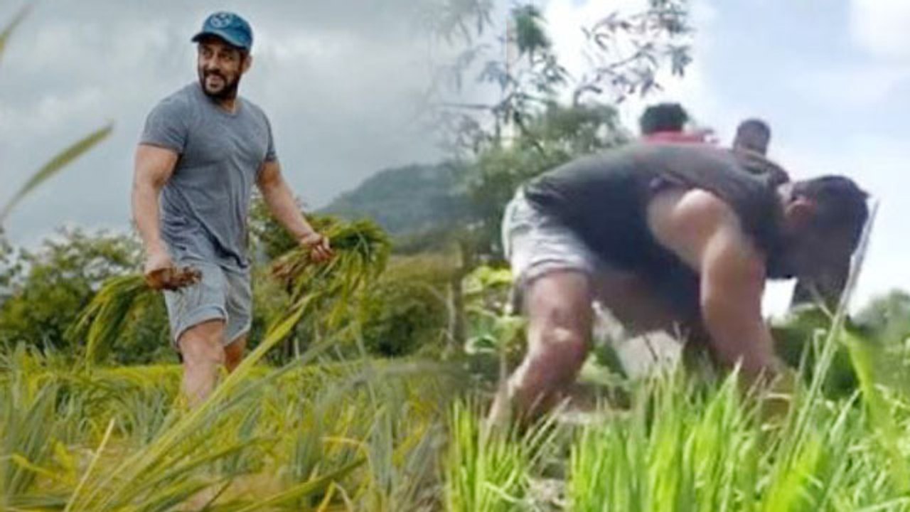 Salman Khan ने Iulia Vantur संग Panvel farmhouse में पूरी की चावल की खेती; Watch video | FilmiBeat