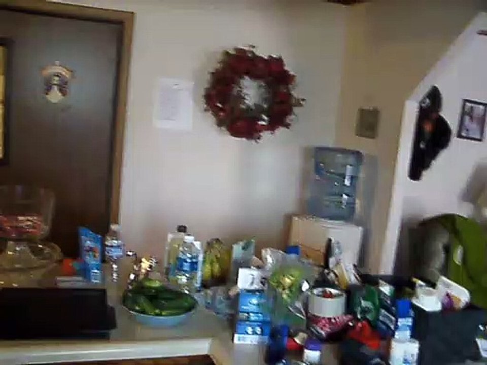 Power Outage Stops Sims