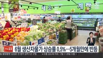 6월 생산자물가 상승률 0.5%…5개월만에 반등