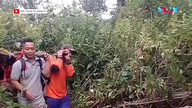 Pendaki Gunung Lawu, Korban Jurang Kawah Candradimuka