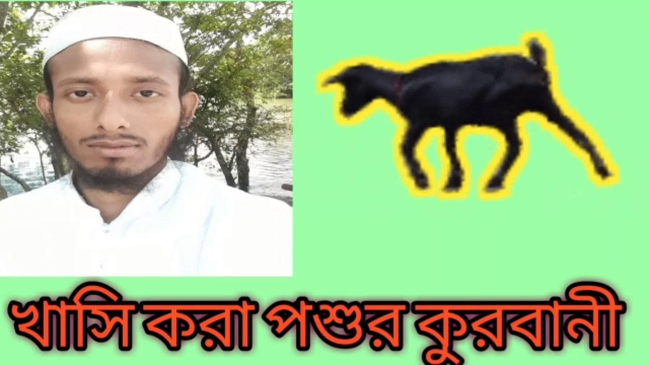 খাসি করা পশুর কুরবানী হবে কি না