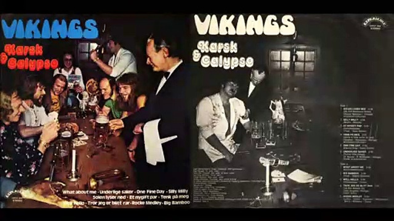 Vikings: One fine Day