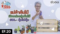ป้ารีวิว EP.20 : เปิดกล่องสุ่มต้นไม้ 500 บาท!
