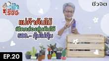 ป้ารีวิว EP.20 : เปิดกล่องสุ่มต้นไม้ 500 บาท!