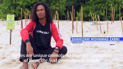 From egg hunter to protector, Malaysian battles to save turtles