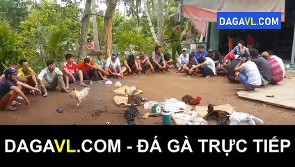 DAGAVL.COM - Bắt 27 đối tượng đá gà ăn tiền tại Vị Thanh; đá gà trực tiếp.