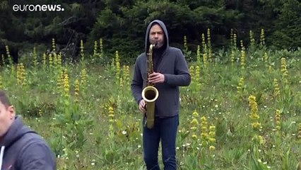 شاهد: السير فوق الحبال وعروض فنية غير تقليدية وسط غابات فرنسا