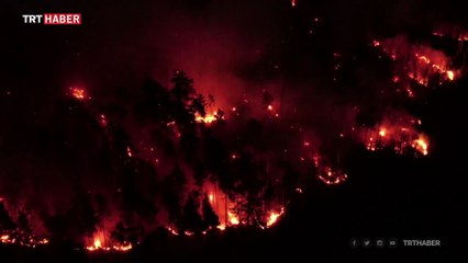 Sibirya'da 28 bin hektarlık alan küle döndü
