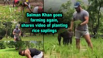 Salman Khan goes farming again, shares video of planting rice saplings