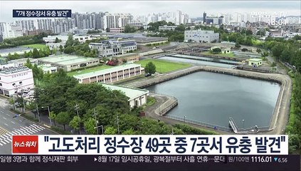 환경부 "인천 등 7개 정수장서 유충 발견"
