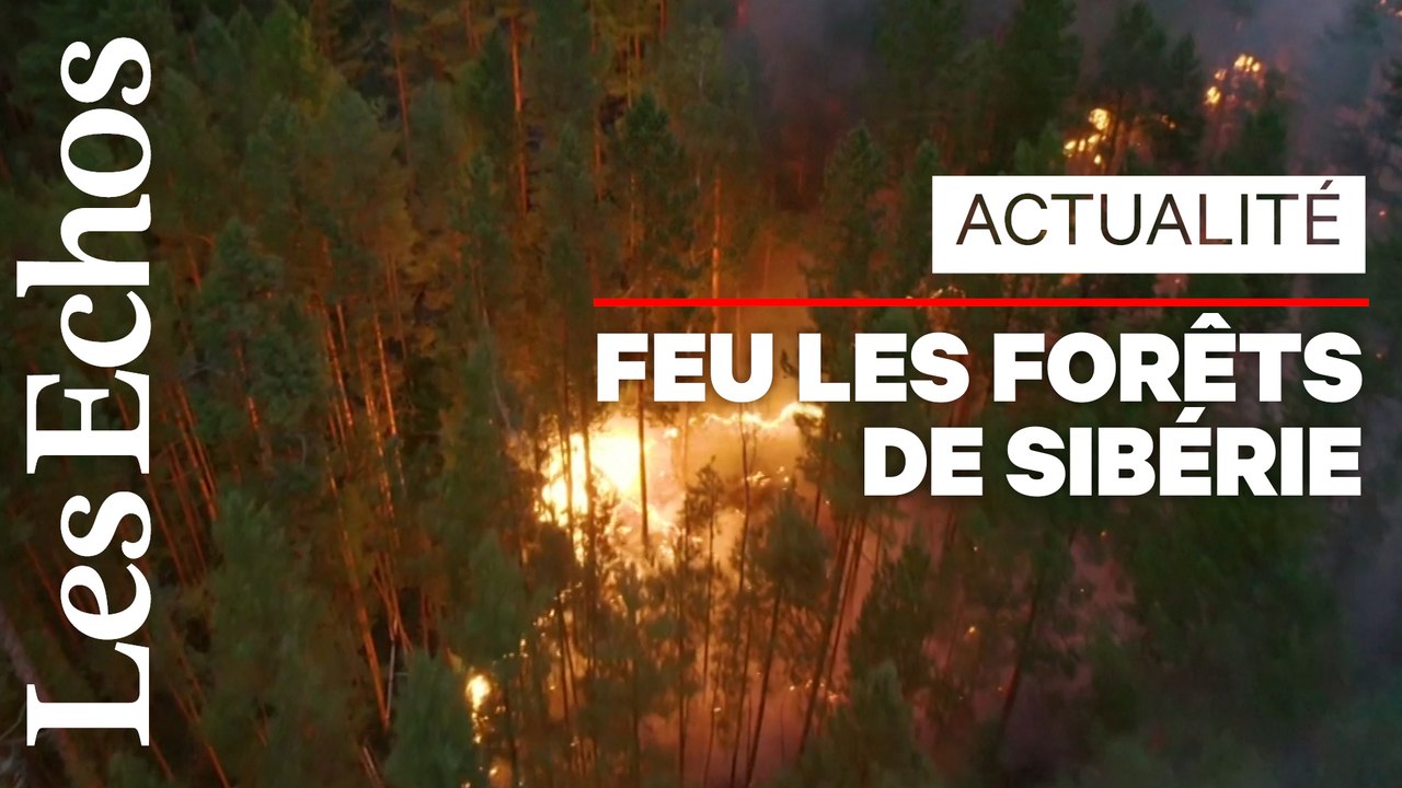 Près de 200 incendies ravagent les forêts de Sibérie