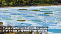 Canada’s Magical Polka-Dotted Lake is an Otherworldly Sight to See