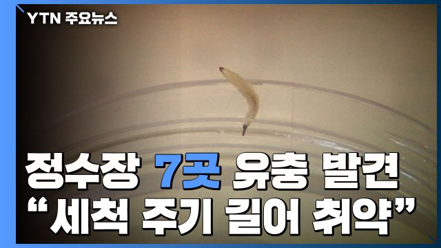 '활성탄 필터' 정수장 7곳 유충 발견... 세척 주기 길어 취약 / YTN