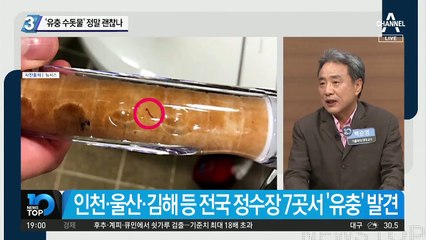 ‘유충 수돗물’ 정말 괜찮나