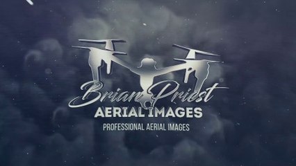 Dolphins off Hendon Beach - video by Brian Priest