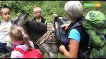 Balades ert randos avec un ou plusieurs ânes au pays Famenne - Ardenne