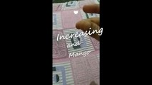 Mango Magic 2020