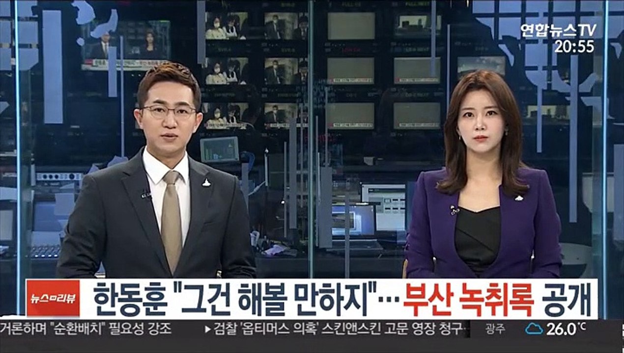 한동훈 "그건 해볼 만하지"…'부산 녹취록' 전문 공개