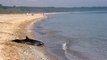 La commission européenne donne trois mois à la France pour cesser la pêche accidentelle de dauphins