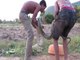 Snake Trap - Build Underground Python Trap Using Deep Hole - Traditional Bamboo Trap | Animal trap