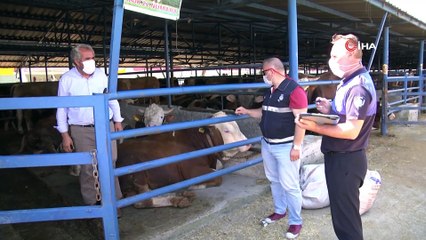 Sosyal mesafeli kurban pazarı