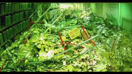 Saudades de como era a vida antes { da PANDEMIA }