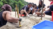 مهمة شاقة لحماية بيض السلاحف البحرية في ماليزيا