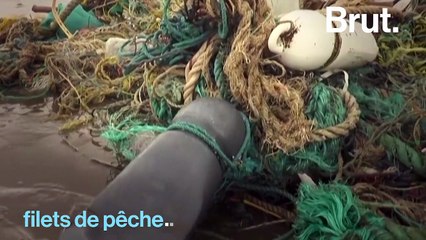 Au Bangladesh, une marée géante de plastique piège des tortues