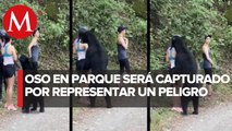 Enviarán a zoológico a oso capturado en Chipinque